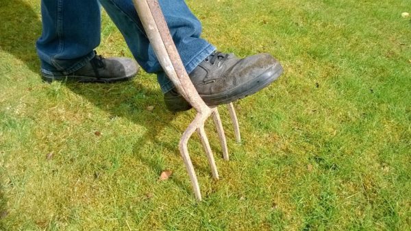 jardin-bechage jardinage a orgerus et dans les yvelines, cheque CESU