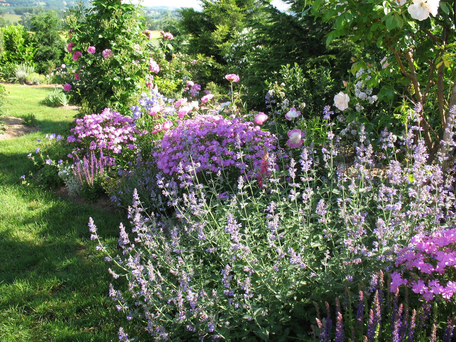 jardinage-a-domicile jardinage a orgerus et dans les yvelines, entretien de jardin